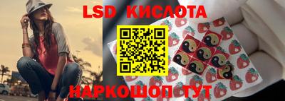 амф Заволжье