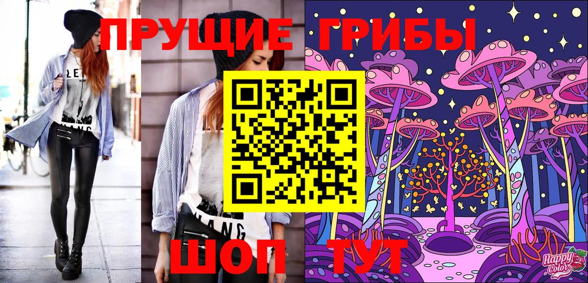 Галлюциногенные грибы GOLDEN TEACHER Краснознаменск